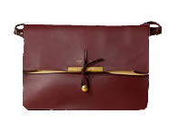 Celine Clasp in Burgundy 2011 collection